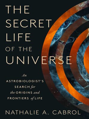 cover image of The Secret Life of the Universe